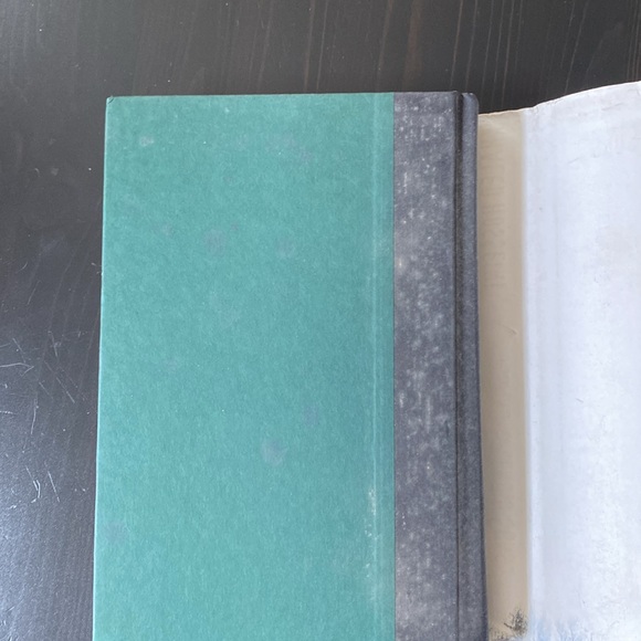 A Thousand Splendid Suns - Khaled Hosseini (Copy 2) - Picture 13 of 14